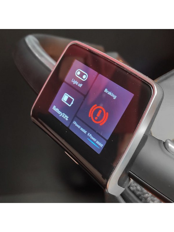 Stroller with electronic brake and... Stroller with electronic brake and...